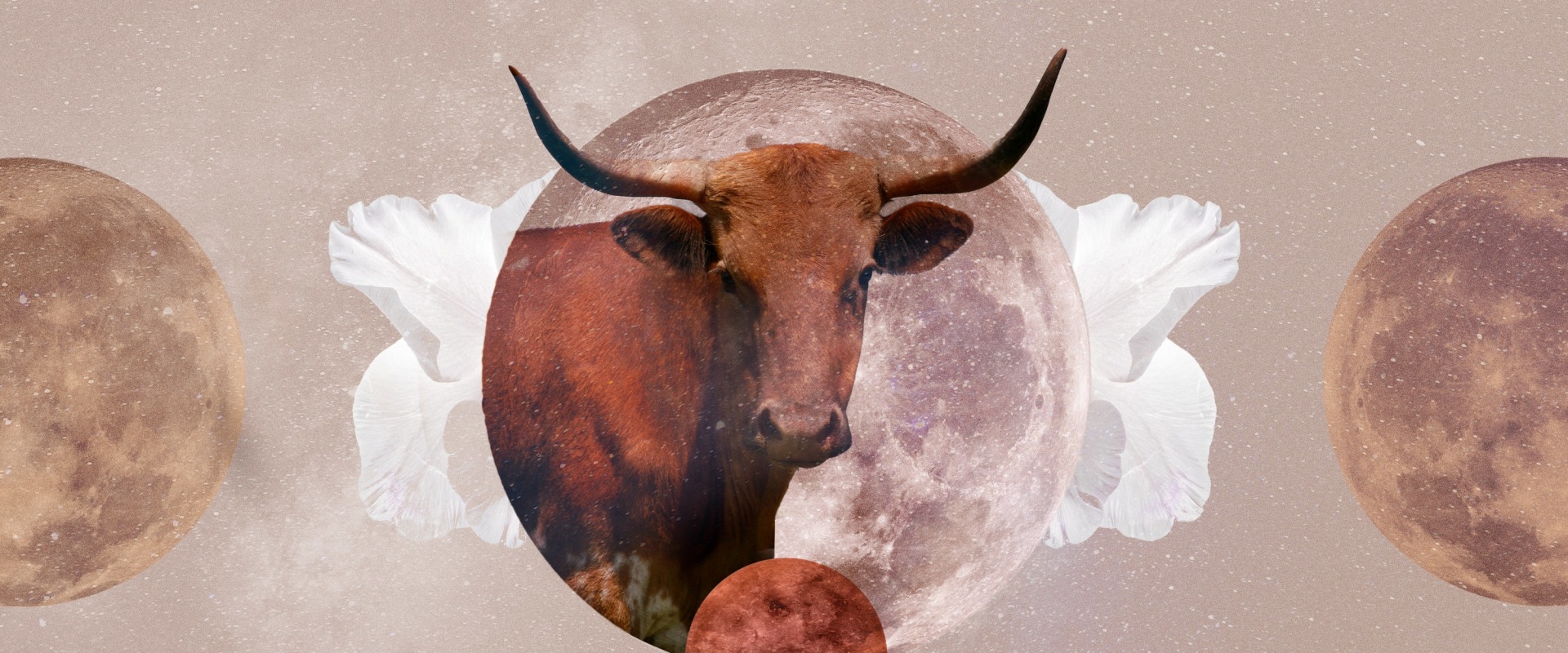 Taurus Monthly Horoscope Forecasts