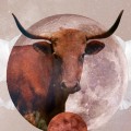 Taurus Monthly Horoscope Forecasts