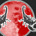 Scorpio Daily Horoscope Forecasts